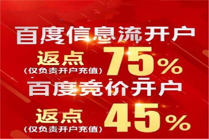 百度广告投放策略：成功案例解析